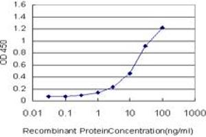 ELISA image for anti-Plasminogen-Like B2 (PLGLB2) (AA 21-96) antibody (ABIN562275)