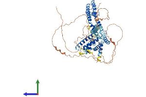 Protein Structure (PS) image for Potassium Voltage-Gated Channel, KQT-Like Subfamily, Member 1 (KCNQ1) (AA 1-668) protein (His tag) (ABIN7563547)