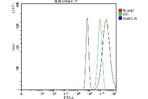 Flow Cytometry analysis of U87 cells using anti-RAB13 antibody (ABIN7600599).