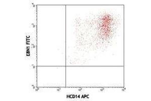 Flow Cytometry (FACS) image for anti-Interleukin 8 (IL8) antibody (FITC) (ABIN2661951) (IL-8 抗体  (FITC))