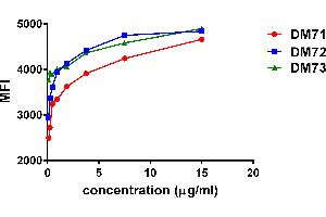 Affinity ranking of different Rabbit anti-MSLN mAb clones by titration of different concentration onto Hela cells. (Recombinant Mesothelin 抗体  (AA 296-580))