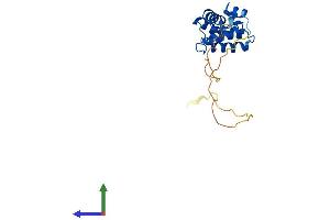 Protein Structure (PS) image for Regulator of G-Protein Signaling 4 (RGS4) (AA 1-205) protein (His tag) (ABIN7551351)