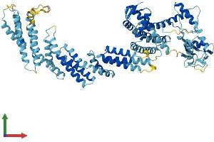 Protein Structure (PS) image for Cullin 2 (CUL2) (AA 1-745) protein (His tag) (ABIN7564986)