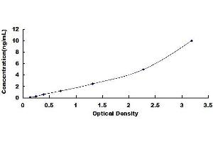 Typical standard curve (SPTBN4 ELISA 试剂盒)