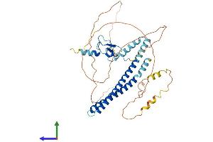 AlphaFold protein structure predicition of Human Recombinant ING3 Protein, UniprotID Q9NXR8