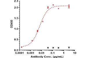 Immobilized human TREM1 His at 2 μg/mL can bind Anti-TREM1 / CD354 Reference Antibody (PY159), EC50=0. (Recombinant TREM1 抗体)