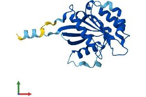 Protein Structure (PS) image for ADP-Ribosylation Factor Related Protein 1 (ARFRP1) (AA 1-201) protein (His tag) (ABIN7552236)