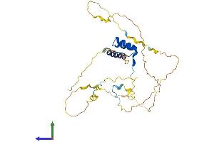 AlphaFold protein structure predicition of Human Recombinant HOXA4 Protein, UniprotID Q00056 (HOXA4 Protein (AA 1-320) (His tag))