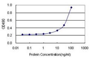 Sandwich ELISA detection sensitivity ranging from 3 ng/mL to 100 ng/mL. (HIP1 (人) Matched Antibody Pair)