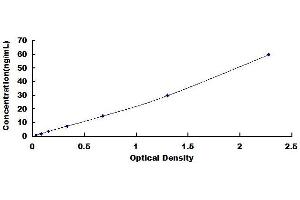 Typical standard curve (Ferritin ELISA 试剂盒)