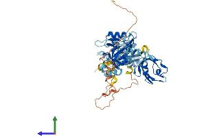 Protein Structure (PS) image for PDZ Domain Containing 1 (PDZK1) (AA 1-519) protein (His tag) (ABIN7565090)