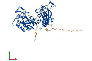 Protein Structure (PS) image for Allantoicase (ALLC) (AA 1-414) protein (His tag) (ABIN7561525)