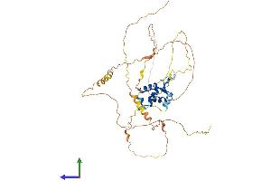Protein Structure (PS) image for Forkhead Box D4 (FOXD4) (AA 1-439) protein (His tag) (ABIN7547778)