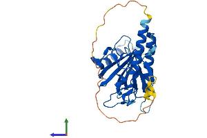 Protein Structure (PS) image for Pleckstrin Homology Domain Containing, Family F (With FYVE Domain) Member 1 (PLEKHF1) (AA 1-279) protein (His tag) (ABIN7550761)