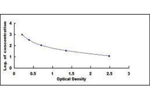 ELISA image for Adrenomedullin (ADM) ELISA Kit (ABIN2014329)