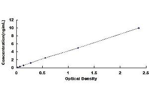 Typical standard curve (LOR ELISA 试剂盒)