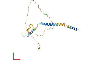 Protein Structure (PS) image for BCL2-Like 11 (Apoptosis Facilitator) (BCL2L11) (AA 1-196) protein (His tag) (ABIN7562445)