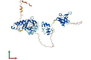 AlphaFold protein structure predicition of Mouse Recombinant Tfcp2l1 Protein, UniprotID Q3UNW5 (TFCP2L1 Protein (AA 1-479) (His tag))