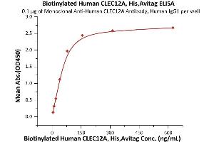 ELISA image for C-Type Lectin Domain Family 12, Member A (CLEC12A) (AA 65-265) (Active) protein (AVI tag,His tag,Biotin) (ABIN6973031)