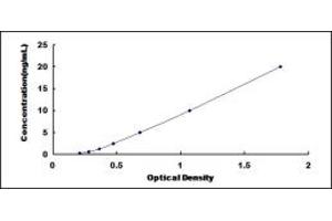 Typical standard curve (STX2 ELISA 试剂盒)