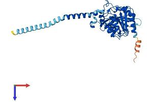 Abhydrolase Domain Containing 13 (ABHD13) (AA 1-337) protein (His tag)