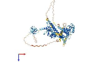 Protein Structure (PS) image for EPS8-Like 1 (EPS8L1) (AA 1-716) protein (His tag) (ABIN7559781)