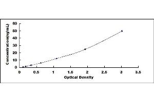 Typical standard curve (TMPRSS6 ELISA 试剂盒)