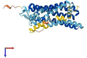 AlphaFold protein structure predicition of Human Recombinant OR10J4 Protein, UniprotID P0C629 (OR10J4 Protein (AA 1-311) (His tag))