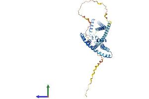 AlphaFold protein structure predicition of Human Recombinant KCNK4 Protein, UniprotID Q9NYG8