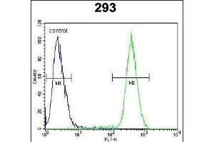 CLG Antibody (Center) (ABIN652066 and ABIN2840534) flow cytometric analysis of 293 cells (right histogr) compared to a negative control cell (left histogr). (CAMLG 抗体  (AA 111-138))