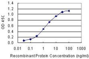 Detection limit for recombinant GST tagged C6orf115 is 0. (ABRACL/C6orf115 抗体  (AA 1-81))