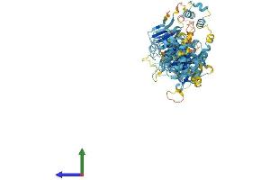 AlphaFold protein structure predicition of Human Recombinant HPS6 Protein, UniprotID Q86YV9