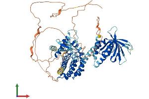 Protein Structure (PS) image for Spermatogenesis Associated 13 (SPATA13) (AA 1-652) protein (His tag) (ABIN7555602)