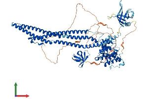 Protein Structure (PS) image for rho GTPase Activating Protein 10 (ARHGAP10) (AA 1-786) protein (His tag) (ABIN7555195)