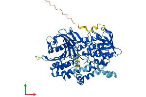 Protein Structure (PS) image for Chromosome 10 Open Reading Frame 33 (C10ORF33) (AA 1-581) protein (His tag) (ABIN7557149)