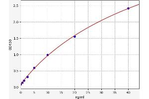 Typical standard curve (Complement C2 ELISA 试剂盒)