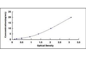 Typical standard curve (O3FAR1 ELISA 试剂盒)