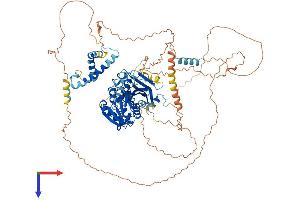 TGS1 Protein (AA 1-853) (His tag)