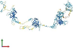 Protein Structure (PS) image for EF-Hand Domain (C-terminal) Containing 2 (EFHC2) (AA 1-750) protein (His tag) (ABIN7560974)