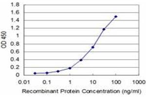 Detection limit for recombinant GST tagged CTH is approximately 1ng/ml as a capture antibody. (CTH 抗体  (AA 1-405))