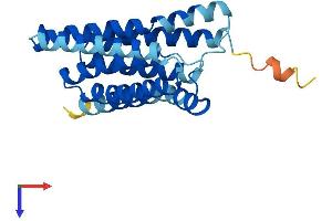 SLC50A1 Protein (AA 1-221) (His tag)