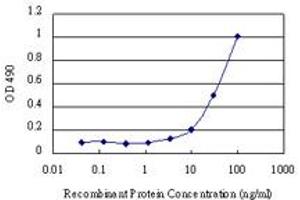 Sandwich ELISA detection sensitivity ranging from 3 ng/mL to 100 ng/mL. (CSE1L (人) Matched Antibody Pair)