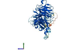 Protein Structure (PS) image for Cleavage Stimulation Factor, 3' Pre-RNA, Subunit 1, 50kDa (CSTF1) (AA 1-431) protein (His tag) (ABIN7560358)