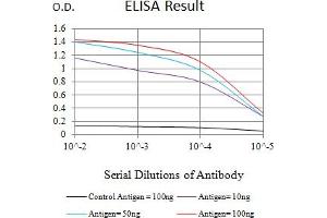 Black line: Control Antigen (100 ng),Purple line: Antigen (10 ng), Blue line: Antigen (50 ng), Red line:Antigen (100 ng) (EZH1 抗体  (AA 135-294))
