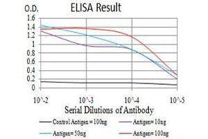 Black line: Control Antigen (100 ng), Purple line: Antigen(10 ng), Blue line: Antigen (50 ng), Red line: Antigen (100 ng), (SIRT4 抗体  (AA 215-314))