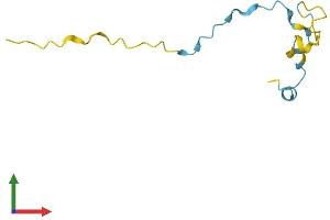 Protein Structure (PS) image for phosphodiesterase 6H, CGMP-Specific, Cone, gamma (PDE6H) (AA 1-83) protein (Fc Tag) (ABIN7556578)