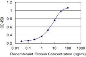 Detection limit for recombinant GST tagged MED9 is 0. (MED9 抗体  (AA 1-146))