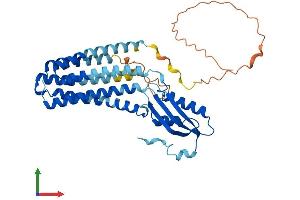 Protein Structure (PS) image for Solute Carrier Family 30 (Zinc Transporter), Member 3 (Slc30a3) (AA 1-388) protein (His tag) (ABIN7545840)