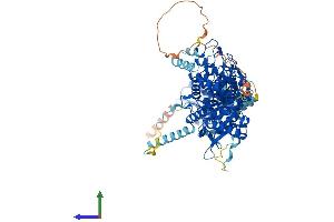 Protein Structure (PS) image for Phospholipase A2, Group VI (Cytosolic, Calcium-Independent) (PLA2G6) (AA 1-806) protein (His tag) (ABIN7554973)