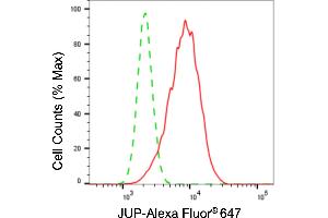 Flow cytometric analysis of JUP expression in HepG2 cells using JUP antibody (ABIN7799151), 1:2,000). (Recombinant JUP 抗体)